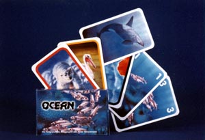 Ocean - Kartenspiel von Peter Schurzmann